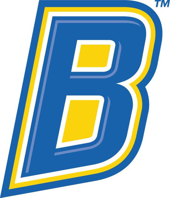 CSU Bakersfield Roadrunners 2006-Pres Alternate Logo v4 diy DTF decal sticker